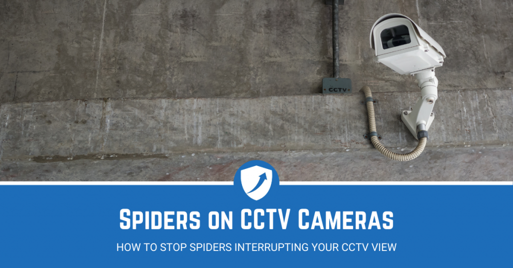 Guide on Stopping Spiders on CCTV